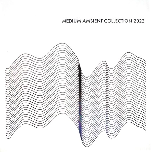 V.A. (MEDIUM) / MEDIUM AMBIENT COLLECTION 2022