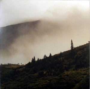 LORD BUFFALO / TOHU WA BOHU