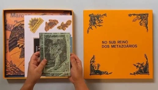 MARCONI NOTARO / マルコーニ・ノタロ / NO SUB REINO DOS METAZOARIOS (LP BOX SET)