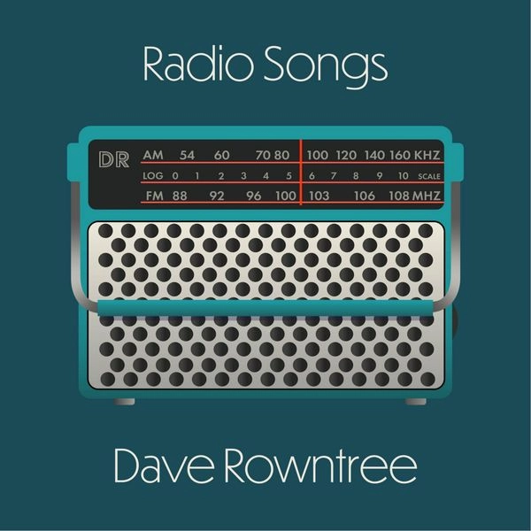 DAVE ROWNTREE / デイヴ・ロウントゥリー / RADIO SONGS (LP)