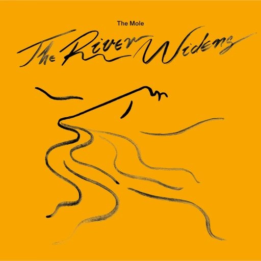 MOLE / RIVER WIDENS (2LP + DL) / RIVER WIDENS (2LP + DL) 