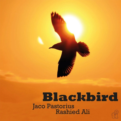 JACO PASTORIUS & RASHIED ALI / ジャコ・パストリアス&ラシッド・アリ / Blackbird(LP/180g/YELLOW VINYL)