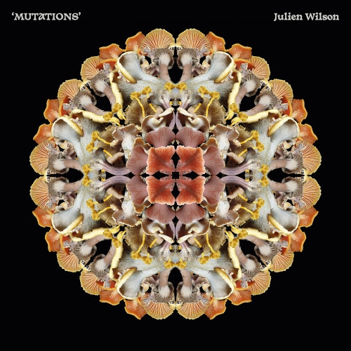 JULIEN WILSON / ジュリアン・ウィルソン / MUTATIONS