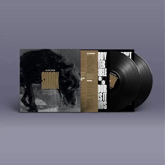 ALGIERS / SHOOK (LP)