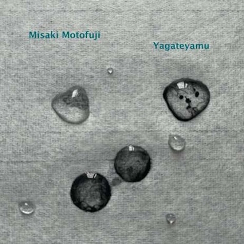 MISAKI MOTOFUJI / 本藤美咲 / Yagateyamu