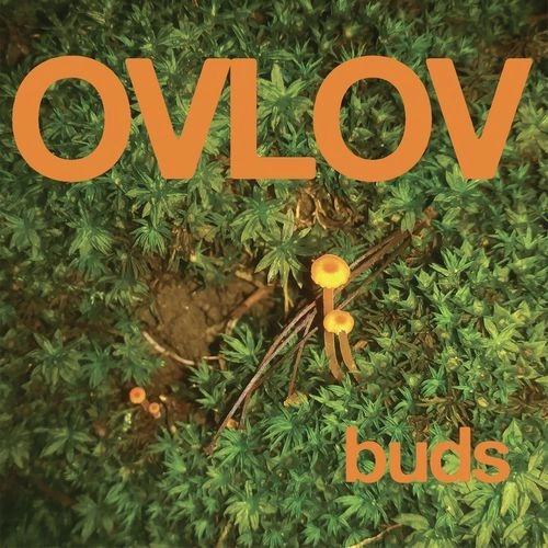 OVLOV / BUDS (INDIE EXCLUSIVE, ORANGE VINYL)