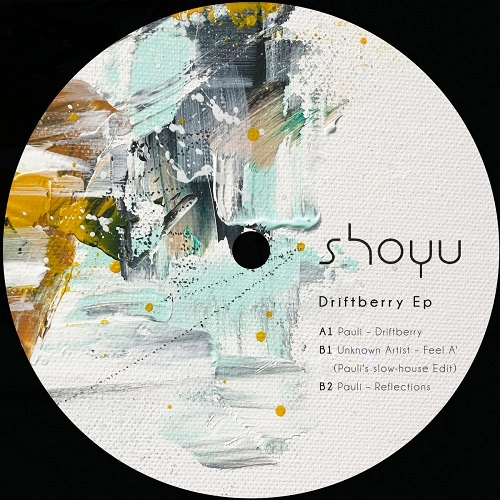PAULI / DRIFTBERRY EP