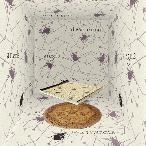 DAVID DUNN / デヴィッド・ダン / 天使と昆虫 / ANGELS & INSECTS