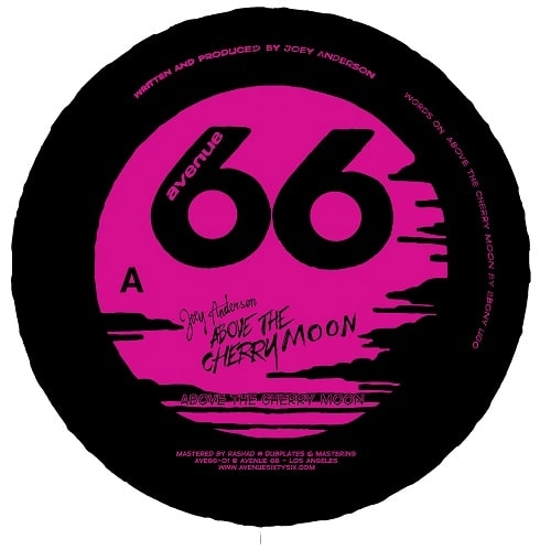 JOEY ANDERSON / ジョイ・アンダーソン / ABOVE THE CHERRY MOON (W/VAKULA RMX/2022 REEDITION)
