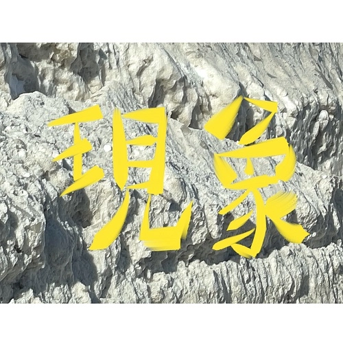 THEEE林's / 現象