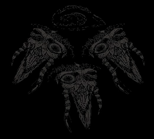 TRIKORONA / 様々な困惑