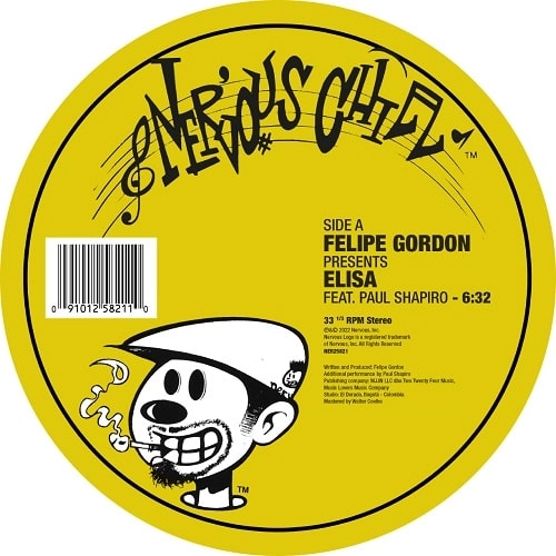 FELIPE GORDON / フェリペ・ゴードン / ELISA / RESONANT MEMORIES FEAT. PAUL SHAPIRO