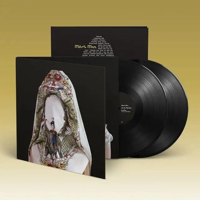 STEVE MASON / BROTHERS & SISTERS (LP)