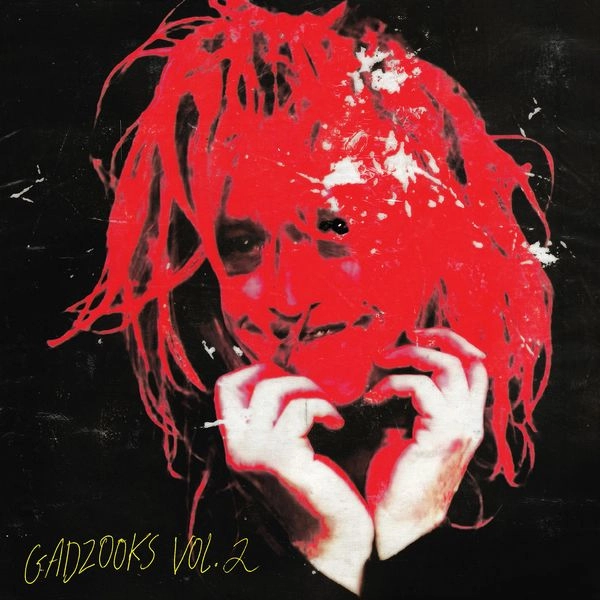 CALEB LANDRY JONES / ケイレブ・ランドリー・ジョーンズ / GADZOOKS VOL. 2