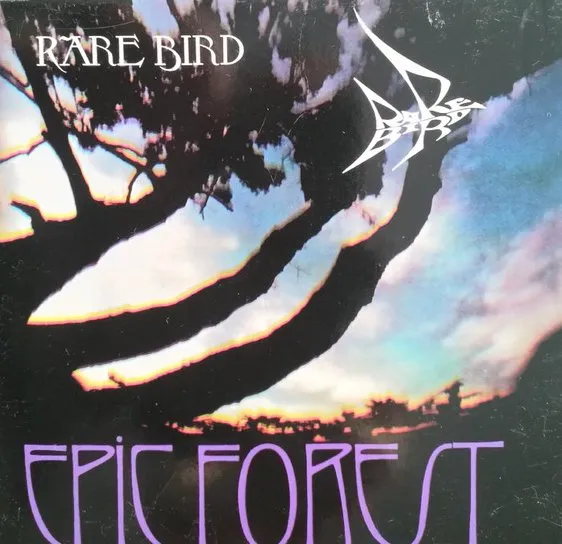 RARE BIRD / レア・バード / EPIC FOREST