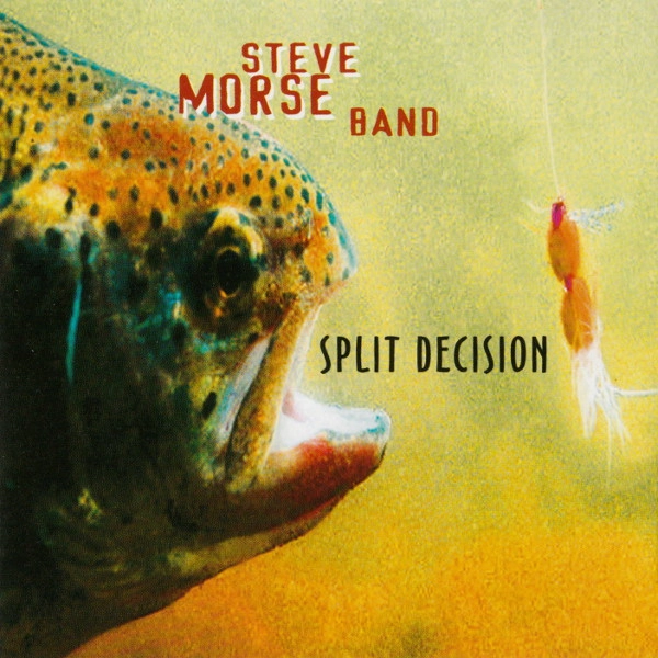 STEVE MORSE BAND / スティーヴ・モーズ・バンド / SPLIT DECISION (COLOR VINYL)