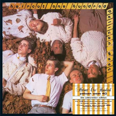 HAIRCUT 100 / ヘアカット100 / PELICAN WEST - 40 (180G BLACK VINYL BOX SET)