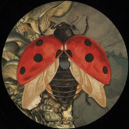 FLOOG / ENFASI RECORDS 003