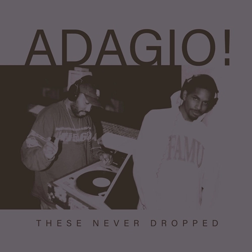 ADAGIO!(HIP HOP) / THESE NEVER DROPPED "CD" (JEWEL CASE)
