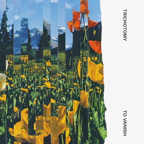TRICHOTOMY / トライチョトミー / To Vanish
