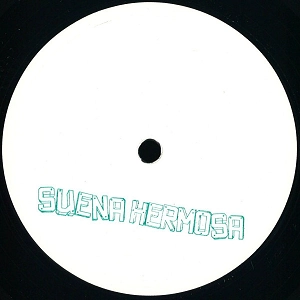 NICOLA BRUSEGAN / CHAPTERS IN SOUND EP