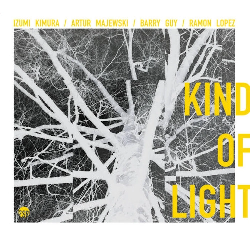 IZUMI KIMURA / 木村泉 / KIND OF LIGHT (WITH ARTUR MAJEWSKI-BARRY GUY-RAMON LOPEZ)