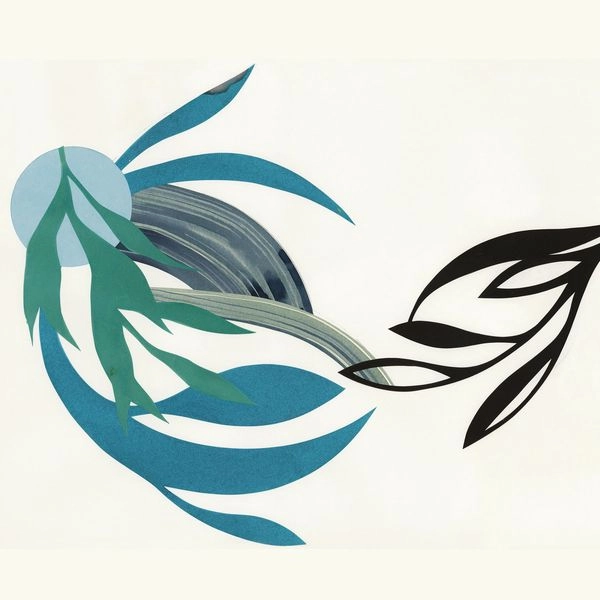 NATURAL LINES / NATURAL LINES (IMPORT CD)