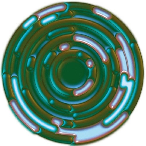 SCOTT FERGUSON / ORGANIZED SOUND