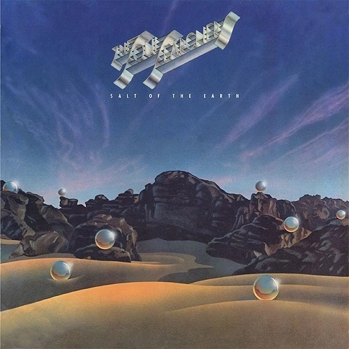 SOUL SEARCHERS / ソウル・サーチャーズ / SALT OF THE EARTH (CLEAR VINYL)