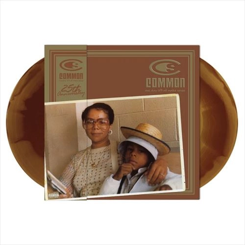 COMMON (COMMON SENSE) / コモン (コモン・センス) / ONE DAY IT'LL ALL MAKE SENSE "2LP" (25 YEAR ANNIVERSARY REISSUE)