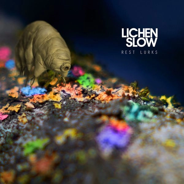 LICHEN SLOW / REST LURKS
