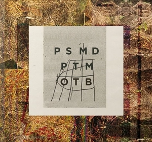 MARC DUCRET / マルク・デュクレ / PALM SWEAT: MARC DUCRET PLAYS THE MUSIC OF TIM BERNE