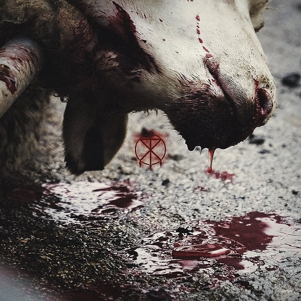 TO THE GRAVE / DIRECTOR'S CUTS
