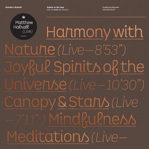 MATTHEW HALSALL / マシュー・ハルソール / SALUTE TO THE SUN LIVE AT HALLE ST.PETER'S (2LP)