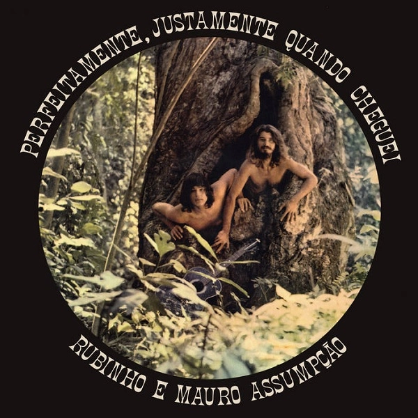 RUBINHO E MAURO ASSUMPCAO / フビーニョ & マウロ・アスンサォン / PERFEITAMENTE, JUSTAMENTE QUANDO CHEGUEI