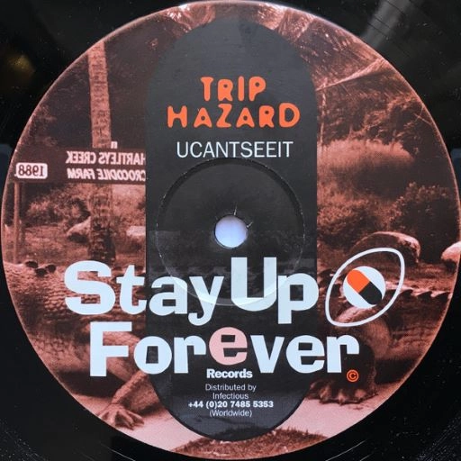 TRIP HAZARD / UCANTSEEIT