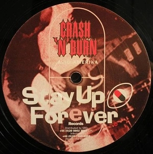 CRASH 'N' BURN / ACID AMERIKA