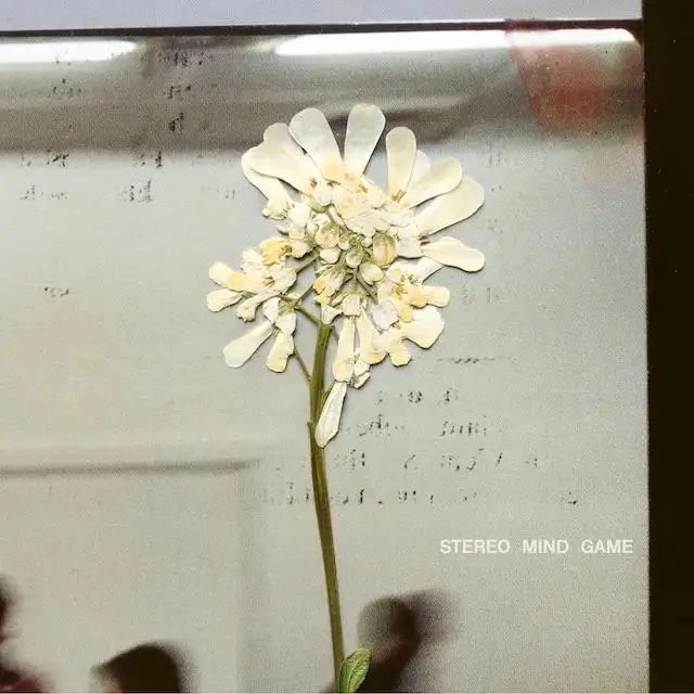 DAUGHTER (UK) / STEREO MIND GAME