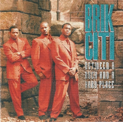 BRIK CITI / ブリック・シティ 商品一覧 | ディスクユニオン
