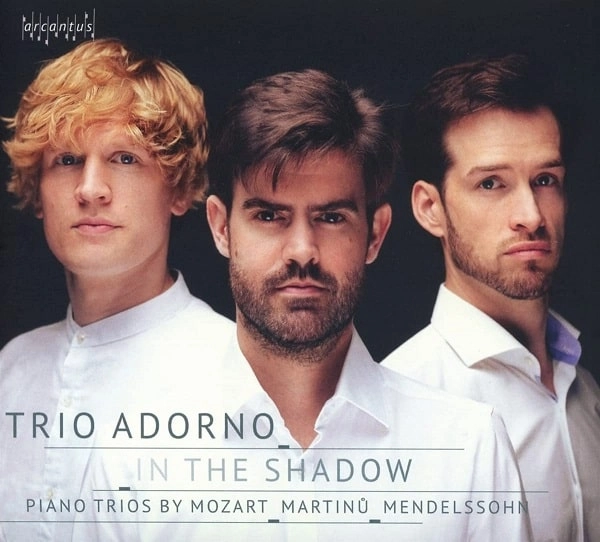 TRIO ADORNO / トリオ・アドルノ / IN THE SHADOW - PIANO TRIOS BY MOZART,MARTINU&MENDELSSOHN
