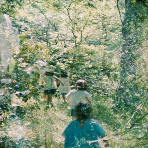 MOSHIMOSS / STONES OF PARADISE