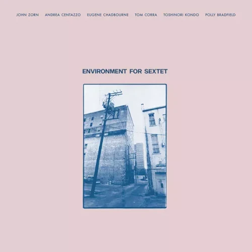 JOHN ZORN / ジョン・ゾーン / ENVIRONMENT FOR SEXTET