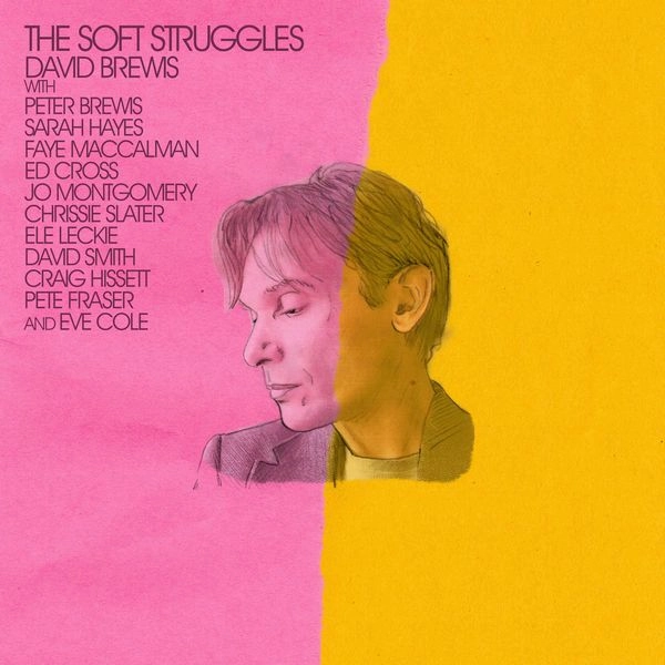 DAVID BREWIS / デヴィッド・ブリューイズ / SOFT STRUGGLES (IMPORT CD)