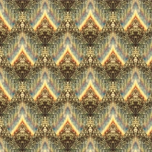 CELER / SUNSPOTS