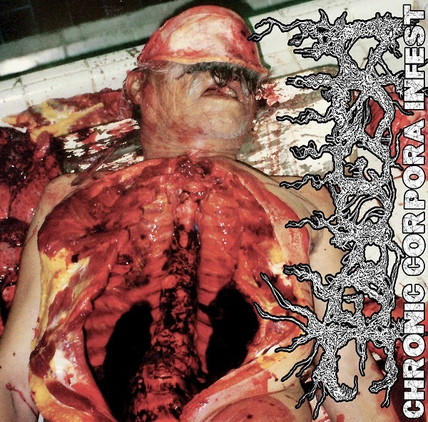 DISGORGE (from Mexico) / ディスゴージ / CHRONIC CORPORA INFEST (LP/CLEAR VINYL)