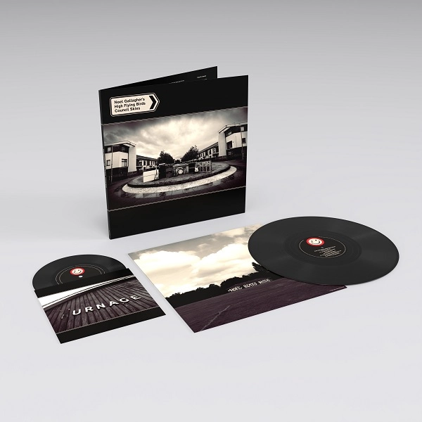 NOEL GALLAGHER'S HIGH FLYING BIRDS / ノエル・ギャラガーズ・ハイ・フライング・バーズ / COUNCIL SKIES (VINYL) / COUNCIL SKIES (VINYL) 