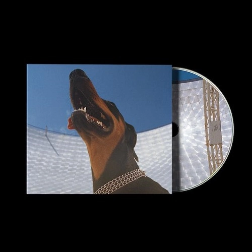 OVERMONO / オーヴァーモノ / GOOD LIES (CD)