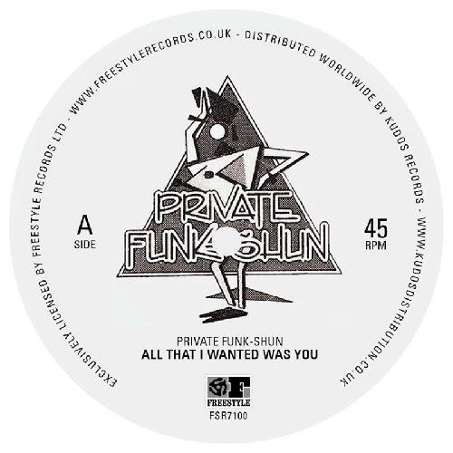 PRIVATE FUNK-SHUN / ALL THAT I WANTED WAS YOU / FANTASY