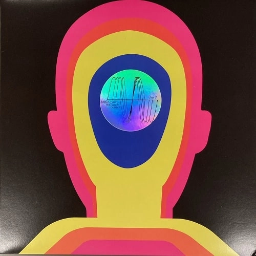 BRAINWAVE RESEARCH CENTER / ブレインウェイヴ・リサーチ・センター / FIG. 1 (LP)