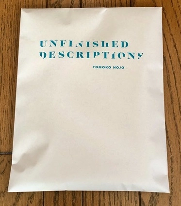 TOMOKO HOJO / 北條知子 / UNFINISHED DESCRIPTIONS (BOOK+7")